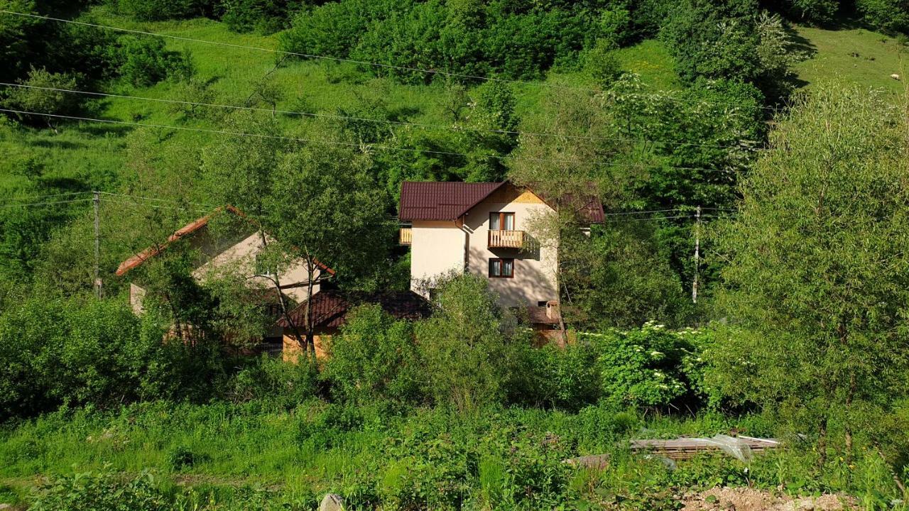 Pensiunea Petru Şugag Exteriér fotografie